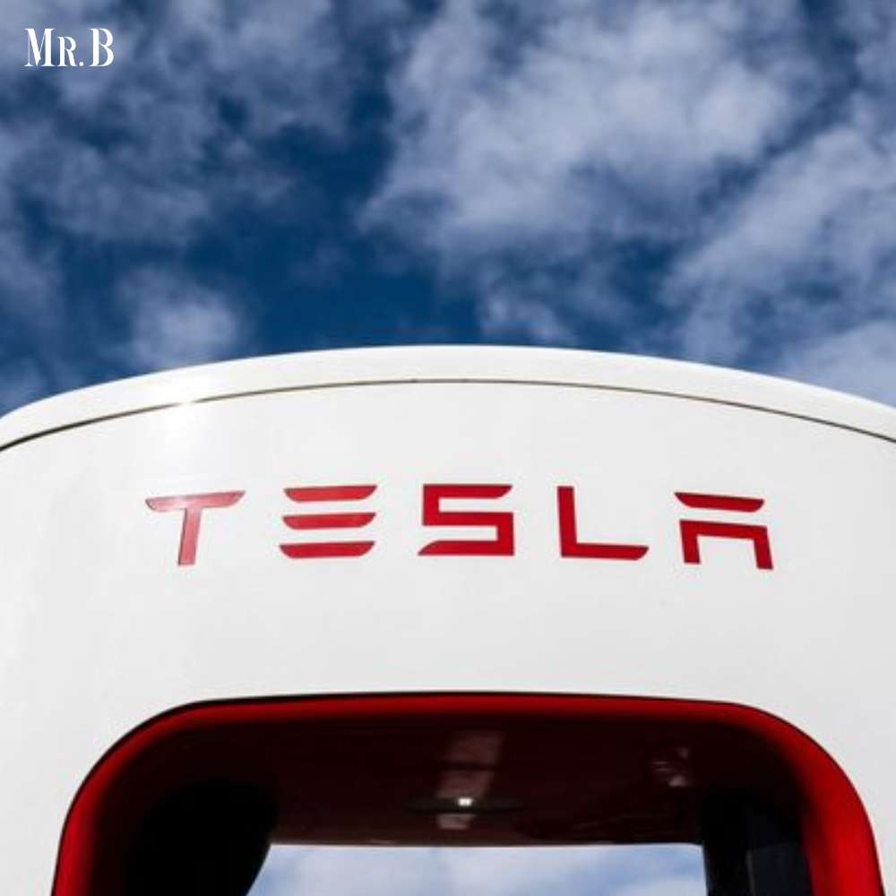 Tesla Stock Falls 6% on Sluggish Auto Revenue, 2024 Growth Warning | Mr. Business Magazine