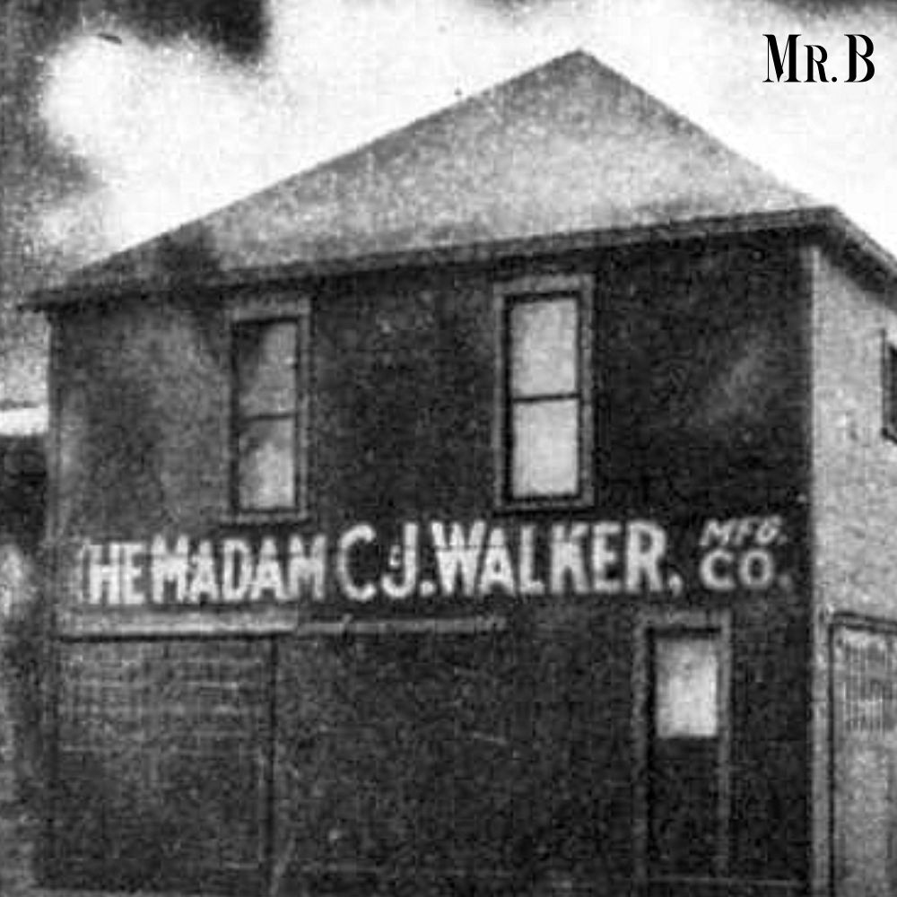 Madam C.J. Walker: A Tale of a Resilient Lotus | Mr. Business Magazine