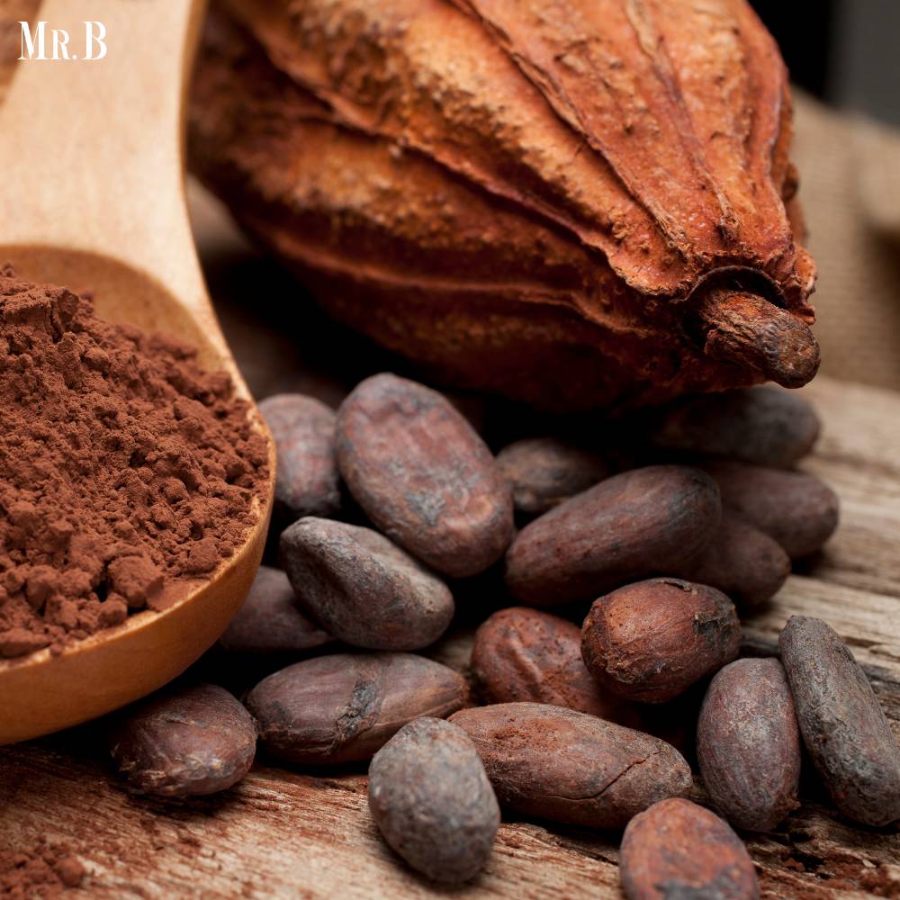 Cocoa Prices Soars to Record Highs Amidst Crop Challenges | Mr. Business Magazine