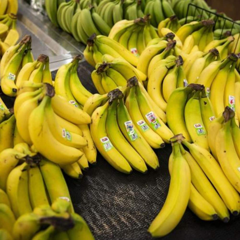 Potential Port Strike Lead to Shortages of Bananas, Alcohol, and Chocolate | Mr. Business Magazine