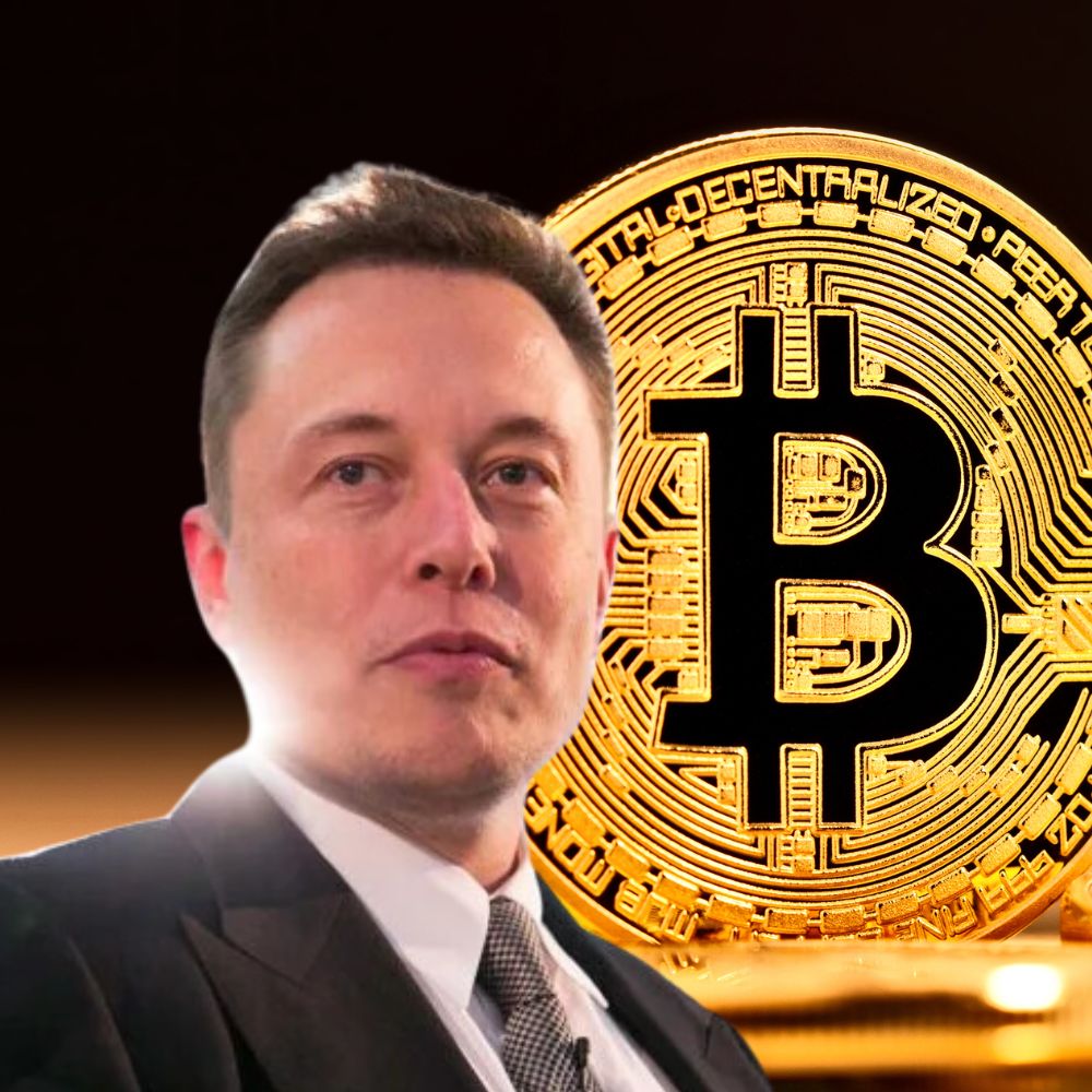 Bitcoin and Gold Soar as Musk Warns of Crisis Ahead | Mr. Business Magazine